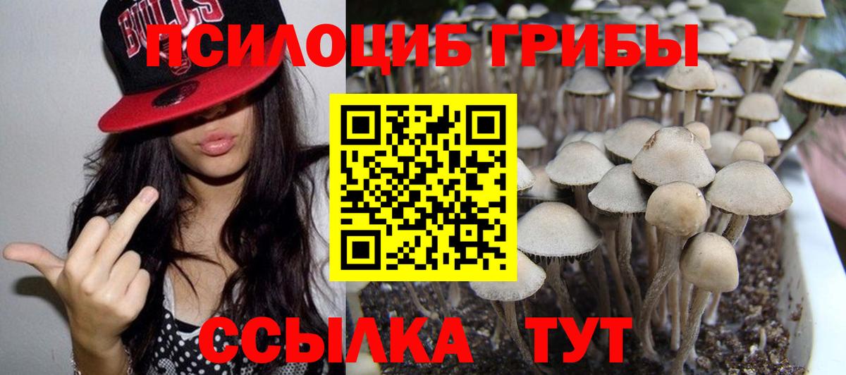 Галлюциногенные грибы MAGIC MUSHROOMS Кизляр
