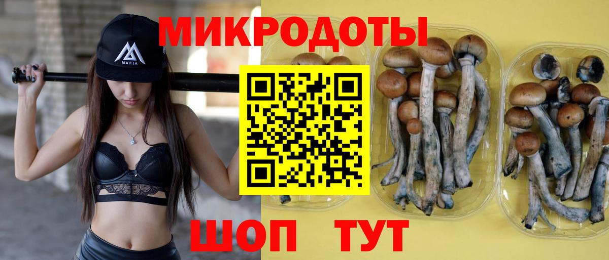 Галлюциногенные грибы мухоморы  Вход с VPN  купить  цена  Кизляр 