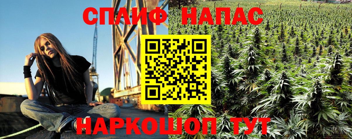 МАРИХУАНА ГИДРОПОН  Канабис SATIVA & INDICA  Кизляр  Марихуана LSD WEED  Вход с VPN 